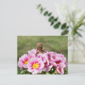 Acorn elf girl op het briefkaart van de lentbloem (Staand voorkant)