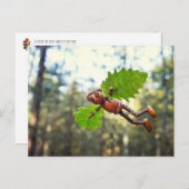 Acorn elf Ikaros flyer - briefkaart na het passere (Voorkant / Achterkant)