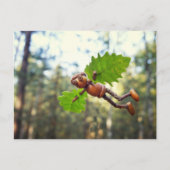 Acorn elf Ikaros flyer - briefkaart na het passere (Voorkant)