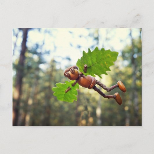 Acorn elf Ikaros flyer - briefkaart na het passere (Voorkant)