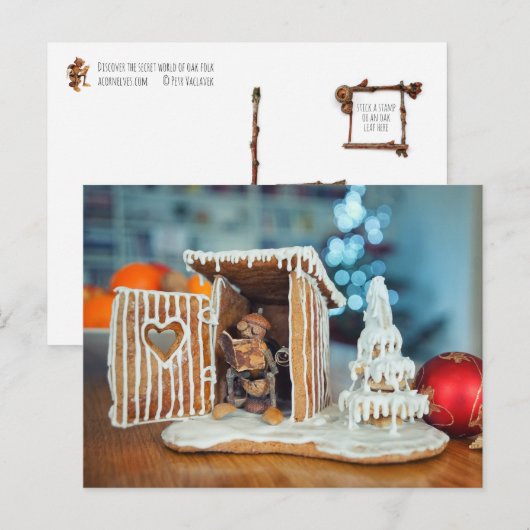 Acorn elf in Christmas earth-closet relaxing  Briefkaart (Voorkant / Achterkant)