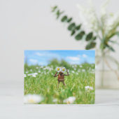 Acorn elf in de wei met madeliefjes - grappig briefkaart (Staand voorkant)