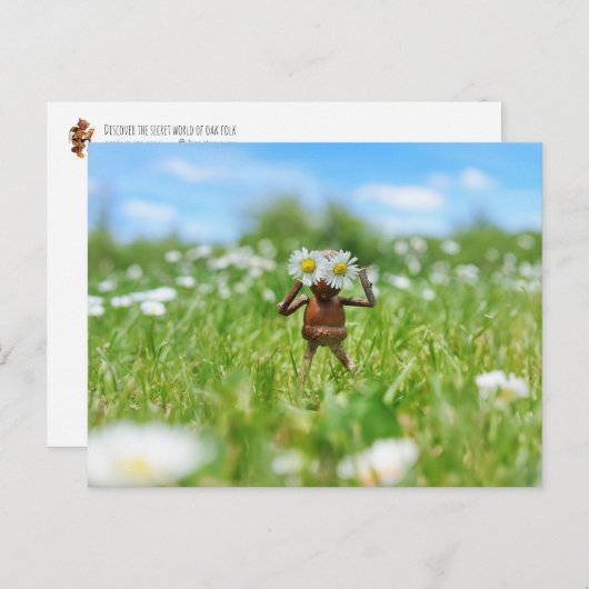 Acorn elf in de wei met madeliefjes - grappig briefkaart (Voorkant / Achterkant)