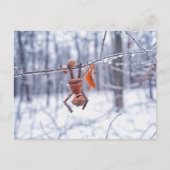 Acorn elf in ijzige winter - winter briefkaart (Voorkant)