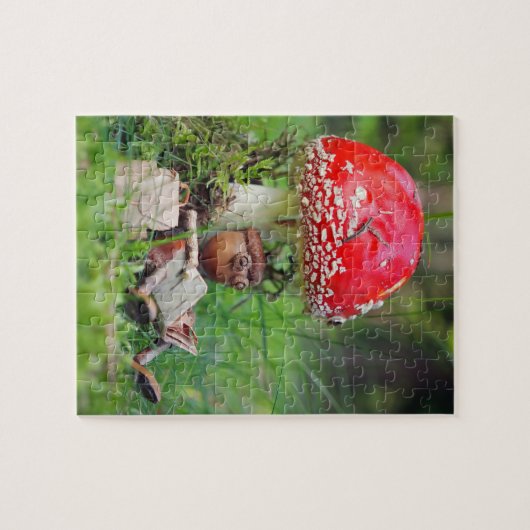 Acorn elf leest een boekpuzzel legpuzzel (Horizontaal)