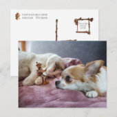 Acorn elf leest sprookje voor aan hond en kat briefkaart (Voorkant / Achterkant)