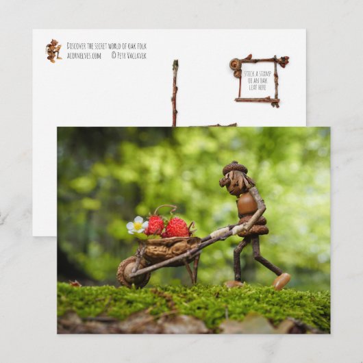 Acorn elf meisje dragen aardbeien briefkaart (Voorkant / Achterkant)