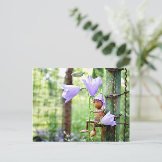 Acorn elf met blauwe gordelbloem zomer briefkaart (Staand voorkant)