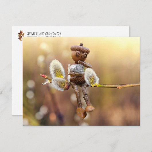 Acorn elf met briefkaart van catkins Spring (Voorkant / Achterkant)