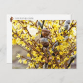 Acorn elf met briefkaart van catkins Spring (Voorkant / Achterkant)