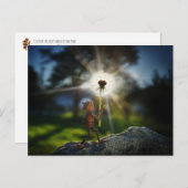 Acorn elf met de lichte paardenbloem briefkaart (Voorkant / Achterkant)