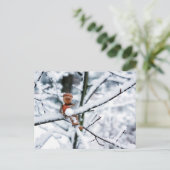 Acorn elf met een sneeuwbal - winterbriefkaart briefkaart (Staand voorkant)