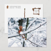 Acorn elf met een sneeuwbal - winterbriefkaart briefkaart (Voorkant / Achterkant)