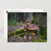 Acorn elf met fiets op paddenstoel briefkaart (Voorkant / Achterkant)