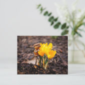 Acorn elf met gele kroonbloem briefkaart (Staand voorkant)