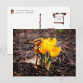 Acorn elf met gele kroonbloem briefkaart (Voorkant / Achterkant)