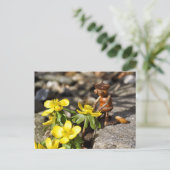 Acorn elf met gele veer briefkaart (Staand voorkant)