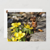 Acorn elf met gele veer briefkaart (Voorkant / Achterkant)