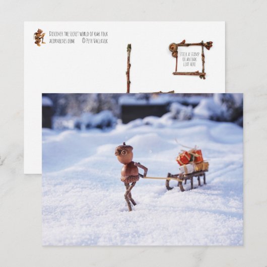 Acorn elf met kerstcadeautjes op een slee briefkaart (Voorkant / Achterkant)