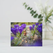 Acorn elf met paarse crocus flower postcar briefkaart (Staand voorkant)