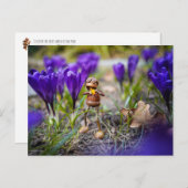 Acorn elf met paarse crocus flower postcar briefkaart (Voorkant / Achterkant)