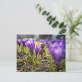 Acorn elf met paarse kroonbloem briefkaart (Staand voorkant)