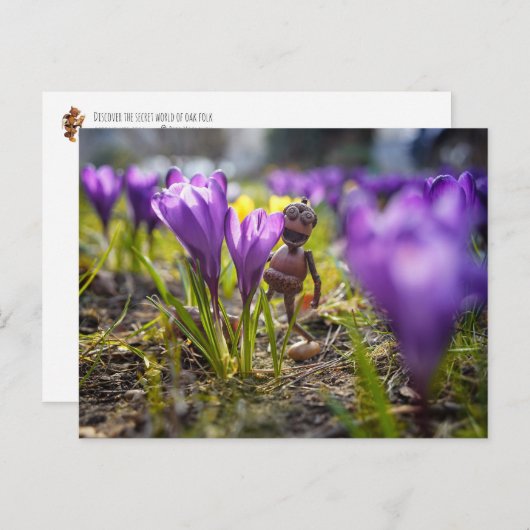 Acorn elf met paarse kroonbloem briefkaart (Voorkant / Achterkant)