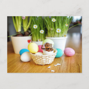 Acorn elf met paaseieren Pasen Briefkaart