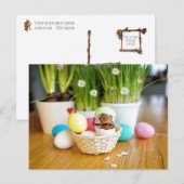 Acorn elf met paaseieren Pasen Briefkaart (Voorkant / Achterkant)