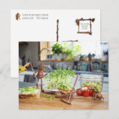 Acorn elf oogst groene kruiden in de keuken briefkaart (Voorkant / Achterkant)