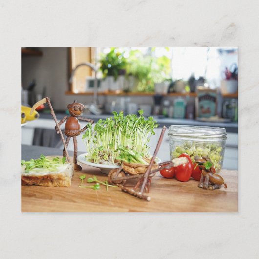 Acorn elf oogst groene kruiden in de keuken briefkaart (Voorkant)