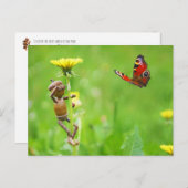 Acorn elf op andelion met vlinder op weide briefkaart (Voorkant / Achterkant)