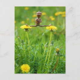 Acorn elf op andelions op het briefkaart van de we