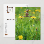 Acorn elf op andelions op het briefkaart van de we (Voorkant / Achterkant)