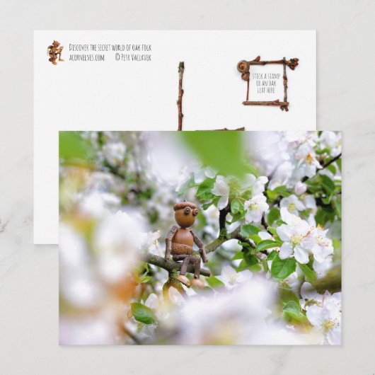 Acorn elf op de bloesem briefkaart (Voorkant / Achterkant)