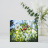 Acorn elf op de paardenbloem briefkaart (Staand voorkant)