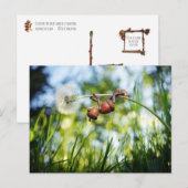Acorn elf op de paardenbloem briefkaart (Voorkant / Achterkant)