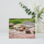 Acorn elf op de slak briefkaart (Staand voorkant)