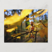 Acorn elf op een esdoorn boom herfst