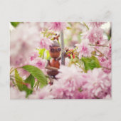 Acorn elf op het briefkaart van de bloesem sakura (Voorkant)
