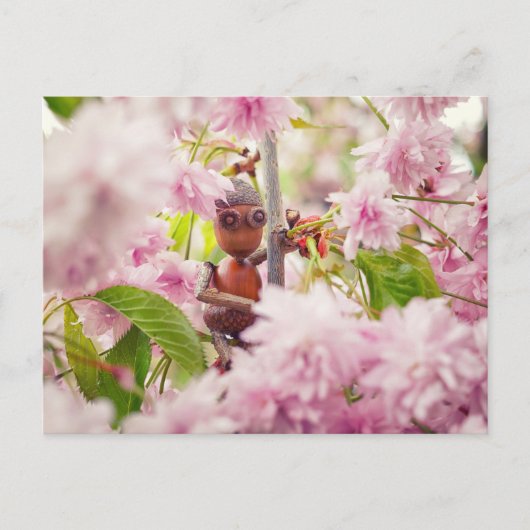 Acorn elf op het briefkaart van de bloesem sakura (Voorkant)
