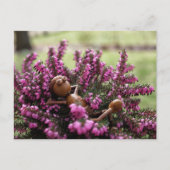 Acorn elf op het briefkaart van de heide tuin (Voorkant)