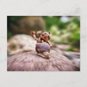 Acorn elf op het slakkenbriefkaart briefkaart