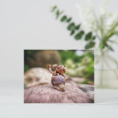 Acorn elf op het slakkenbriefkaart briefkaart (Staand voorkant)