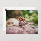 Acorn elf op het slakkenbriefkaart briefkaart (Voorkant / Achterkant)