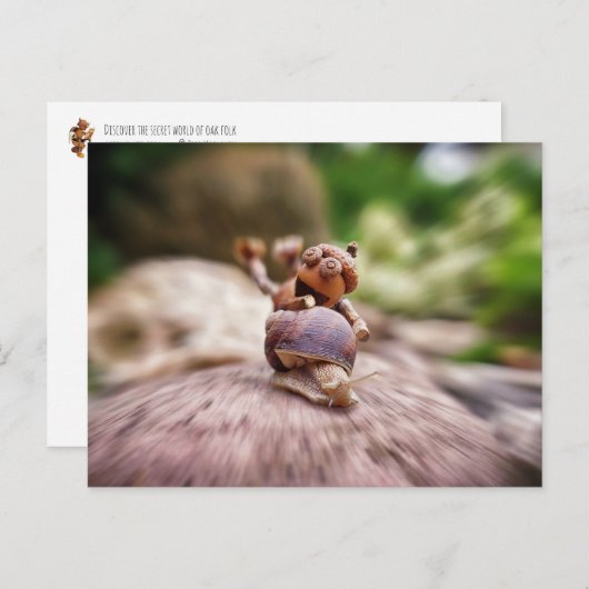 Acorn elf op het slakkenbriefkaart briefkaart (Voorkant / Achterkant)