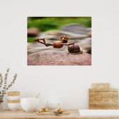 Acorn elf op het slakkenposter poster (Keuken)