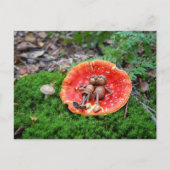 Acorn elf paar op de paddenstoel briefkaart (Voorkant)