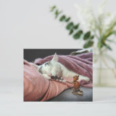 Acorn elf plagen kat briefkaart (Staand voorkant)