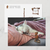 Acorn elf plagen kat briefkaart (Voorkant / Achterkant)